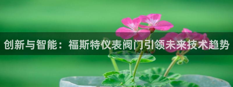 新宝gg平台登录