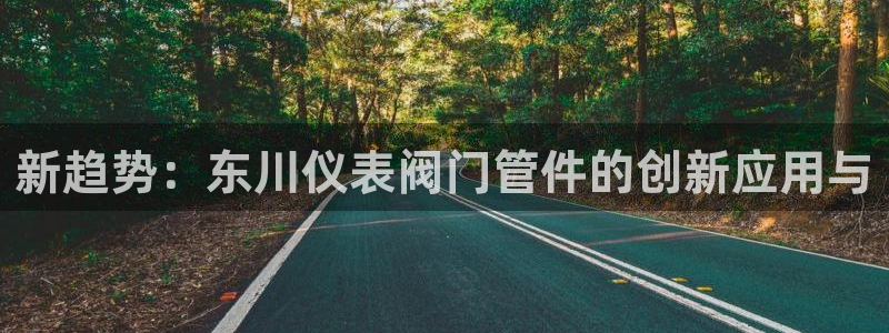 新宝gg怎么开户