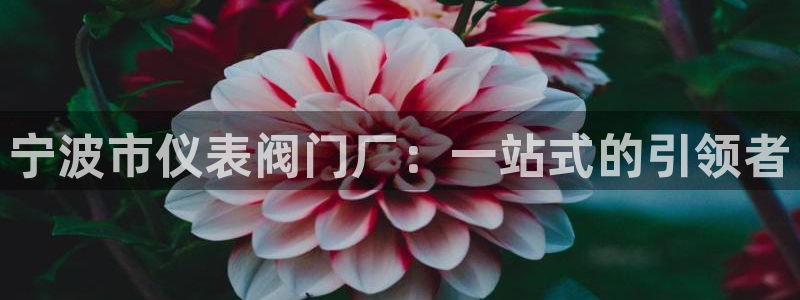 新宝gg创造奇迹平台