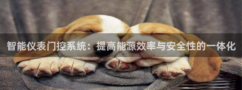 新宝gg合作