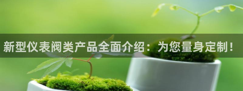 新宝gg注册q -26880