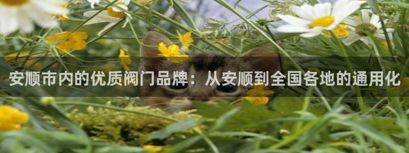 11新宝gg