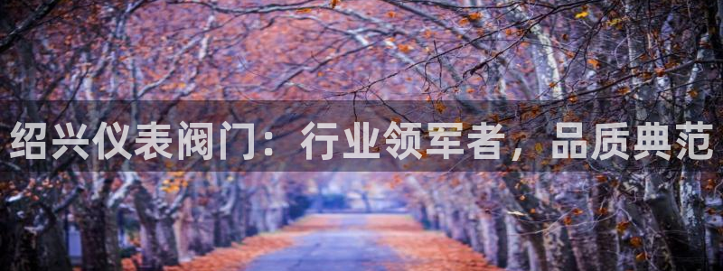 新宝gg如何注册