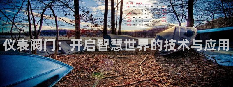 新宝gg平台开户