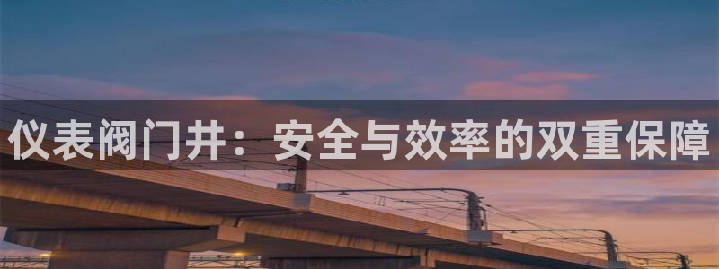 新宝gg手机登录