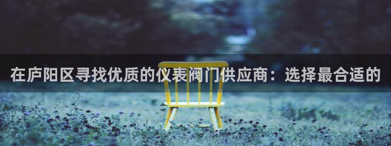 新宝 gg 登录注册