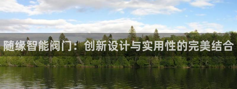 新宝gg软件下载