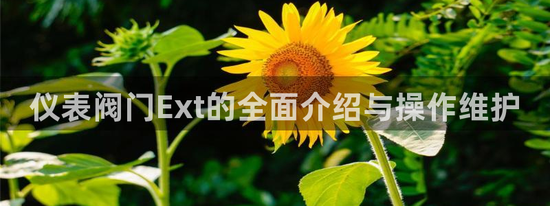 新宝gg平台登录