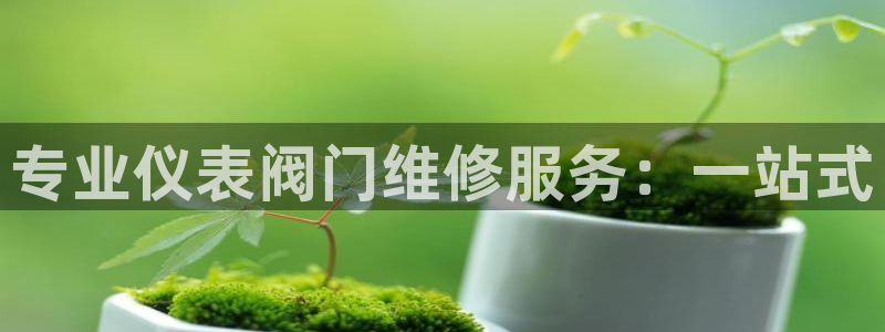 新宝gg返点1956是多少