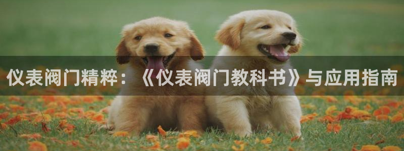 新宝gg真的能赚钱么