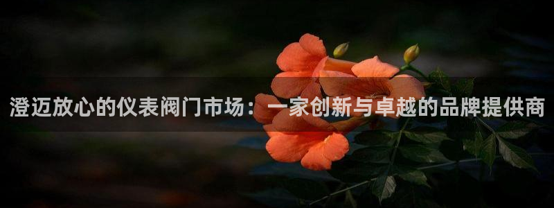 新宝gg是在境外吗