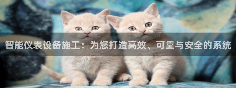 新宝GG冰冰