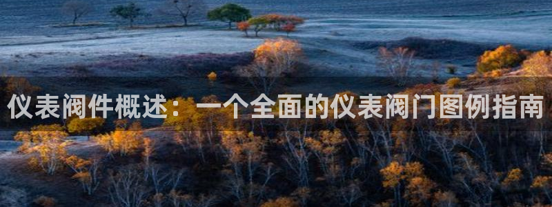 新宝gg注册新账号