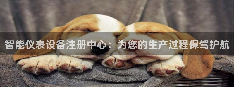 新宝gg 平台怎么样