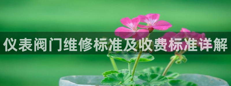 新宝gg提点