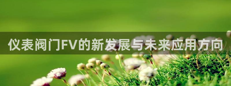 新宝gg开好