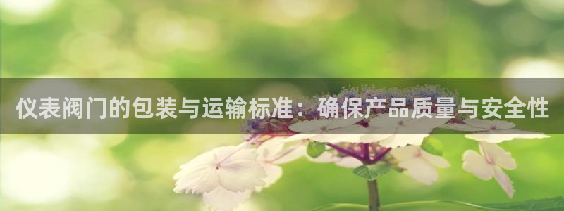 新宝gg专线