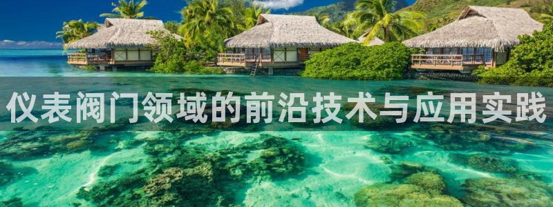新宝gg 创