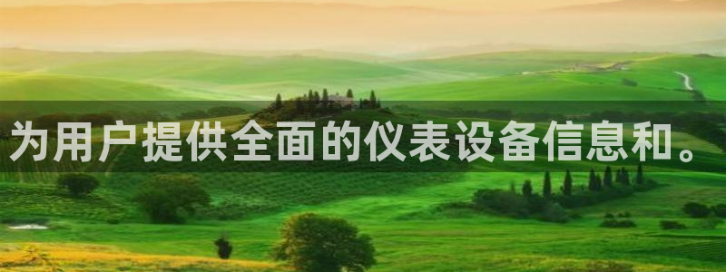 新宝gg什么