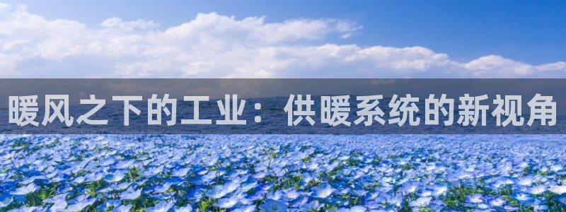 新宝gg佣金