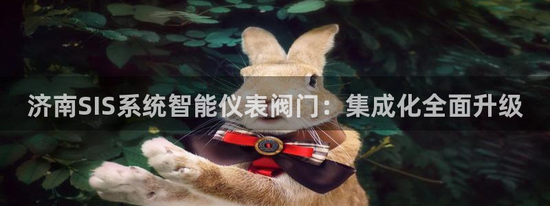 新宝gg图片