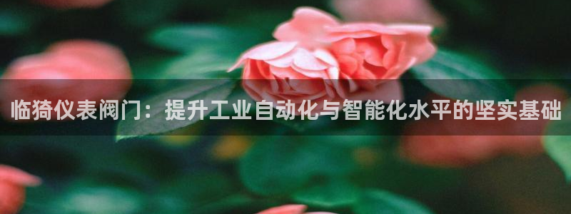 www.新宝gg