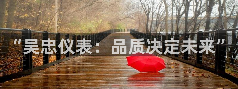 新宝gg dengludizhi