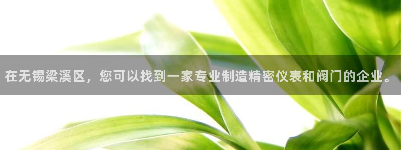 新宝gg博客