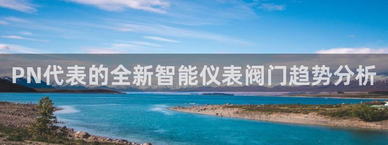 新宝 gg 下载