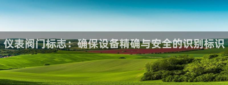 新宝GG上级